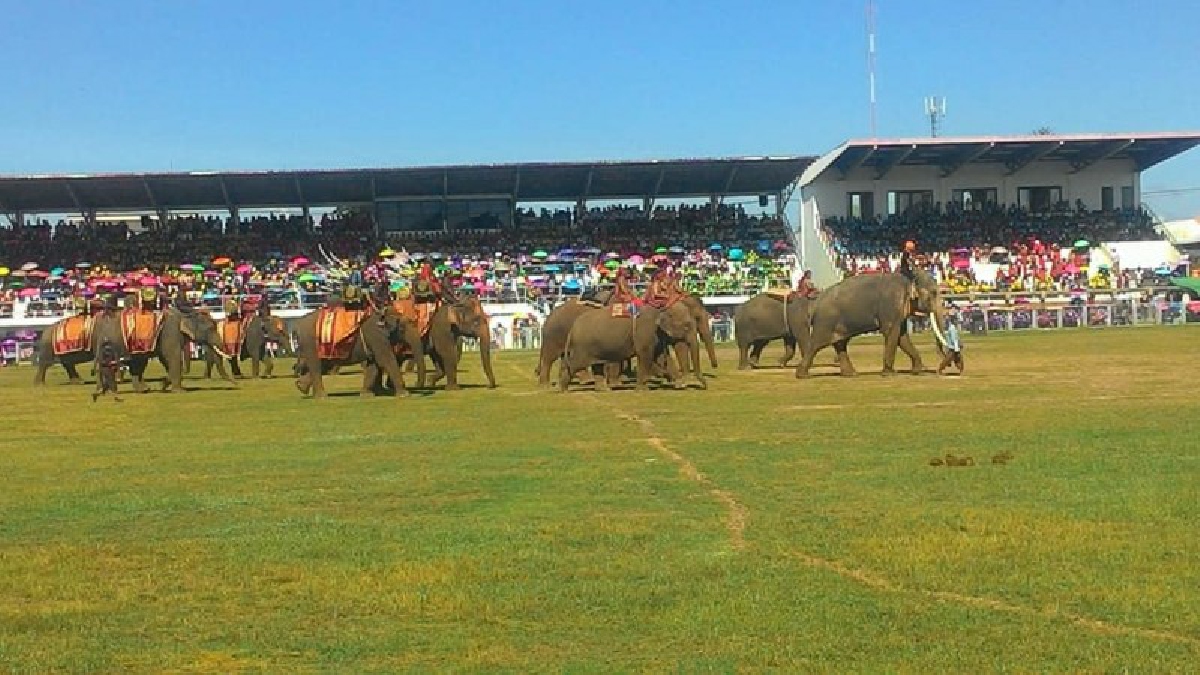 สุดยิ่งใหญ่!! ซ้อมใหญ่การแสดงช้าง 10 ฉากอลังการ เน้นวัฒนธรรมประเพณี เสริมสร้างความเป็นชาวสุรินทร์ และการจัดฉากการแสดงที่สมจริงสมจังกว่าทุกปี