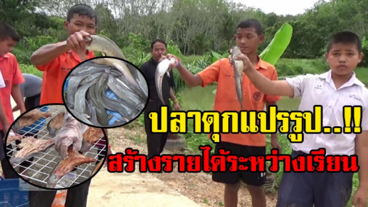 แทบไม่พอขาย..!! นักเรียน รร.สามัคคีศึกษา เพาะเลี้ยงและแปรรูปปลาดุกขาย สร้างรายเป็นกอบเป็นกำระหว่างเรียน