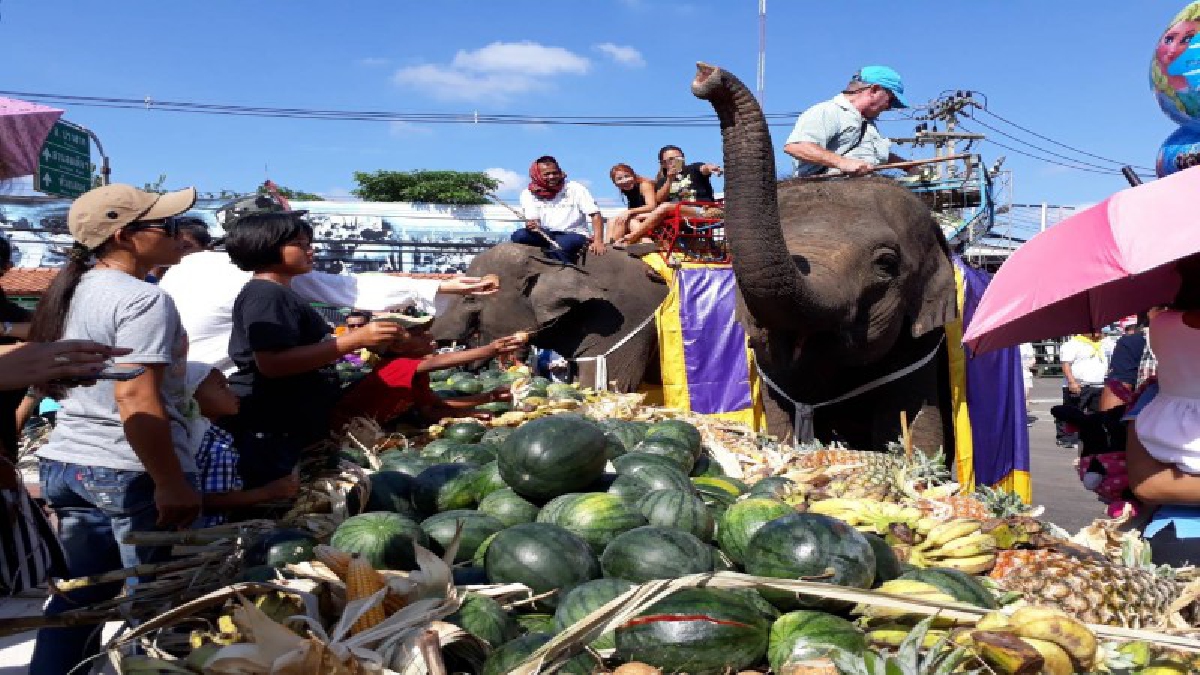 พาเหรดช้างยิ่งใหญ่ที่สุดในโลก!! กินบุปเฟ่อาหารช้าง 290 เชือก อิ่มจนพุงกาง เติมพลังก่อนการแสดง “มหัศจรรย์งานช้างสุรินทร์ (ชมคลิป)