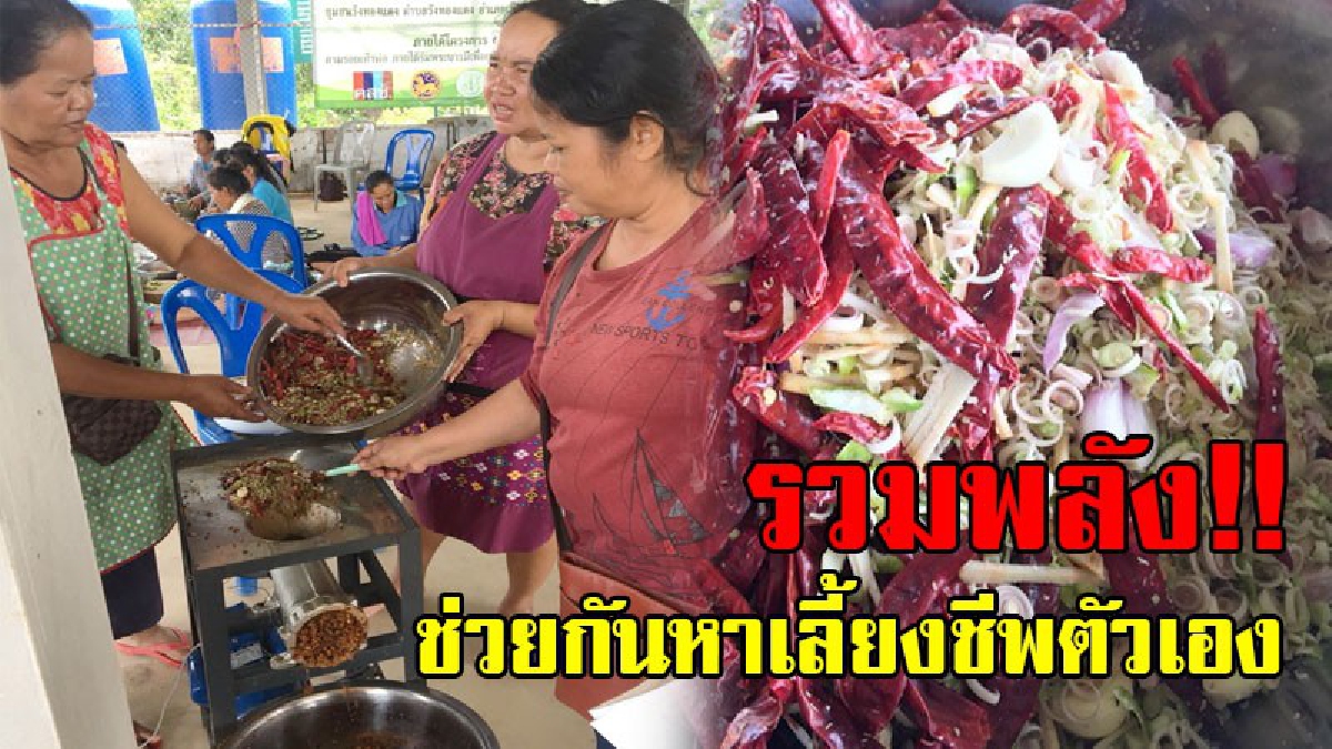 อยากดีกว่านี้..!? กลุ่มแม่บ้านวังทองแดงสุโขทัย รวมพลังสู้ชีวิต “โขลกพริกแกงเผ็ด-สูตรเด็ด” ขาย หลังทำนาย่ำแย่ไม่พอกินมาหลายปี