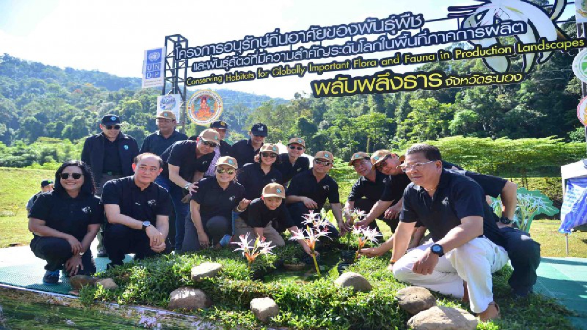อย่าปล่อยให้สูญพันธุ์ !! ระนองจัดกิจกรรมปลูกพลับพลึงธาร ราชินีแห่งสายน้ำหนึ่งเดียวในโลก