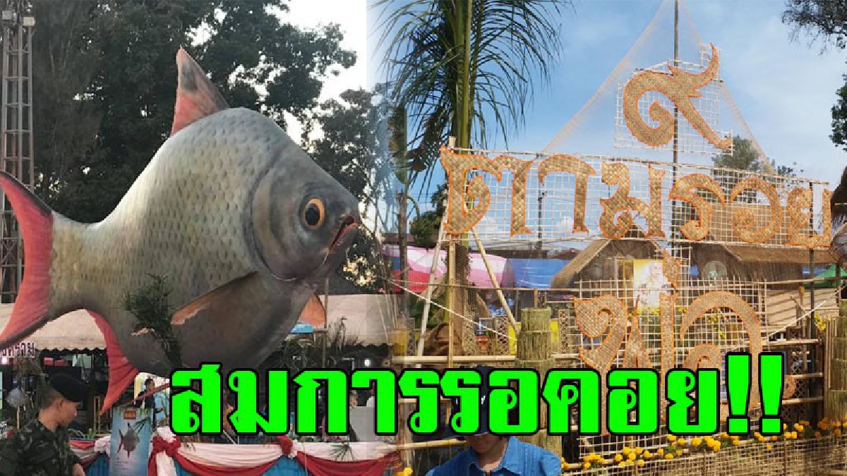 สุดยิ่งใหญ่อลังการ..สมกับการรอคอย!! ขบวนแห่หุ่นปลายักษ์ จำลองวิถีชีวิตคนลุ่มน้ำสงคราม ในงานมหกรรมเทศกาลปลาลุ่มน้ำสงครามประจำปี 2560