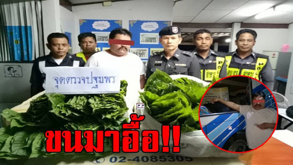 ขนมาเป็นลัง..!? ตำรวจจับพืชกระท่อม 42 กก.ซุกซ่อนในรถทัวร์ คนขับเผยได้ค่าจ้าง 1,500 บาท (ชมคลิป)