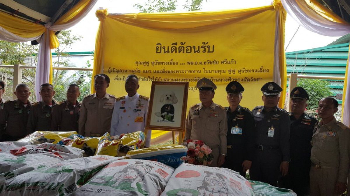จ.สระบุรี!!. . . ผุ้ว่าราชการจังหวัด มอบอาหารสัตว์พระราชทาน ให้แก่ทางสถานสงเคราะห์สัตว์ “บ้านนางฟ้า ของสัตว์จร“