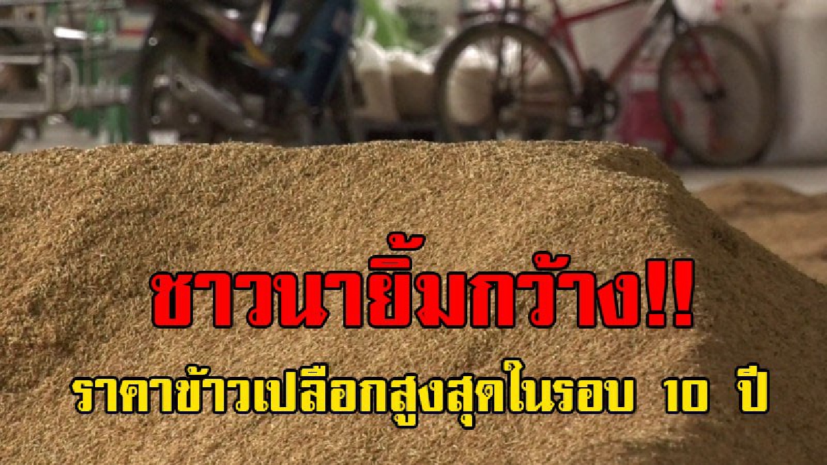 ชาวนายิ้มกว้าง..!! แห่ขายข้าว หลังราคาข้าวเปลือกสูงสุดในรอบ 10 ปี และดูเหมือนว่าราคาจะพุ่งไม่หยุด..!?