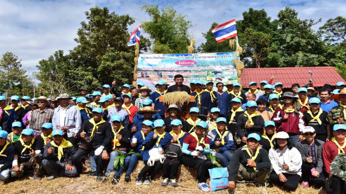 กลุ่มทำนาแปลงใหญ่ จ.กาฬสินธุ์ ร่วมลงแขกเกี่ยวข้าวฟื้นฟูประเพณีลงแขกและลดทุนการผลิต หลังค่าแรงเกี่ยวข้าวสูงวันละ 300 บาท (มีคลิป)