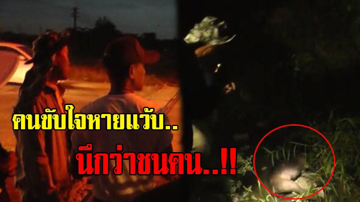 คนขับรถไฟตาตั้ง..!! โร่แจ้งขับชนคน เจ้าหน้าที่เร่งกระจายกำลังช่วยกันค้นหาวุ่น สุดท้ายพบเป็นสุนัขจรจัด (มีคลิป)