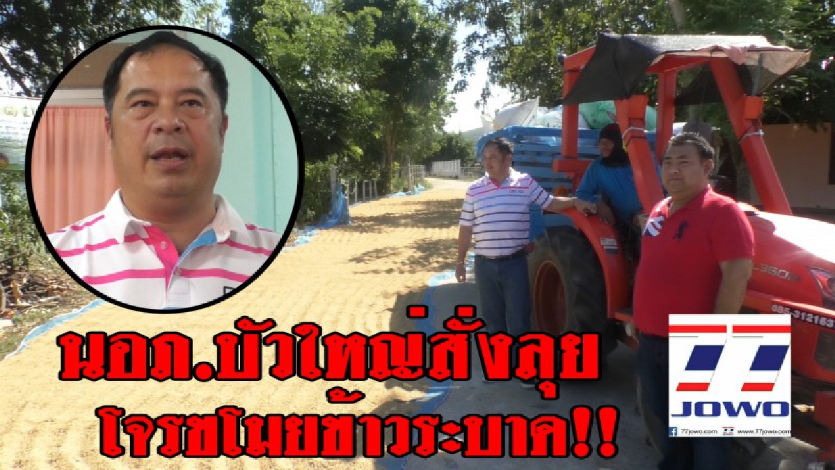 สั่งลุย..!! นายอำเภอบัวใหญ่ระดม ตำรวจ ทหาร เฝ้าระวังแก๊งลักข้าวเปลือกชาวนา หวั่นชาวนาได้รับความเดือดร้อน..!?