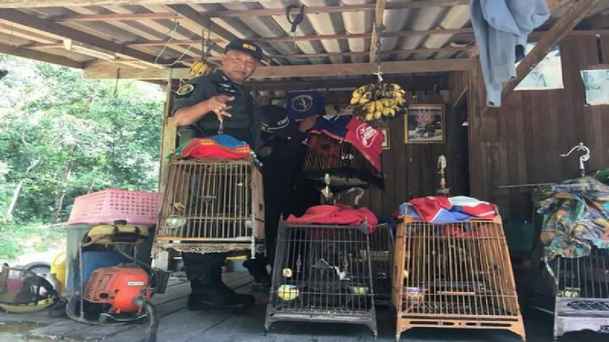 โอ้โหเยอะกว่าสวนสัตว์..!! ตร.ร่วมกับเจ้าหน้าที่ป่าไม้ จับหนุ่มครอบครองสัตว์ป่าคุ้มครองจำนวนมาก