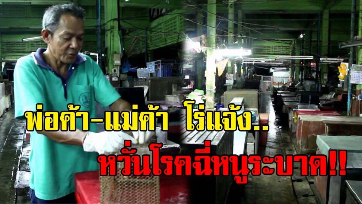พ่อค้า-แม่ค้าหวั่น..!! เร่งแจ้ง จนท.ควบคุมแมลงฯ..กำจัดหนู หลังโดนหนูกัดอยู่บ่อยครั้ง เกรงโรคฉี่หนูระบาด