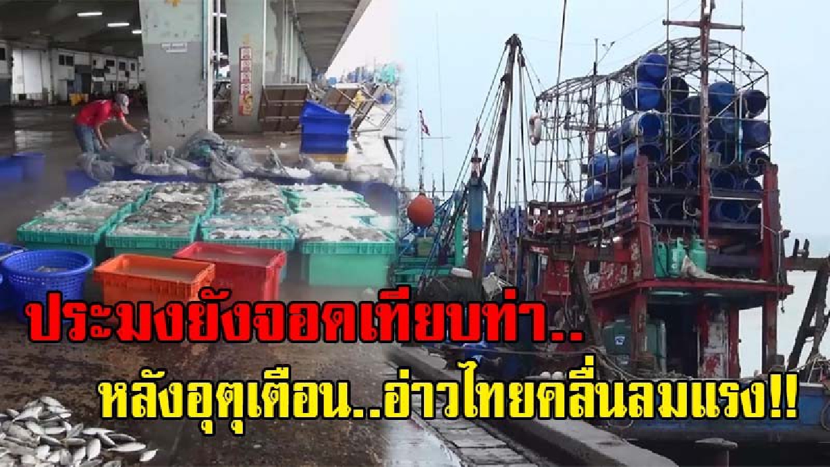 ไม่ยอมไปไหน..!! เรือประมงส่วนใหญ่ยังคงจอดเรือที่ท่า รอดูให้เห็นกับตา หลังอุตุใต้เตือน..ระวังอันตรายที่เกิดจากลมแรง และคลื่นซัดเข้าหาฝั่ง