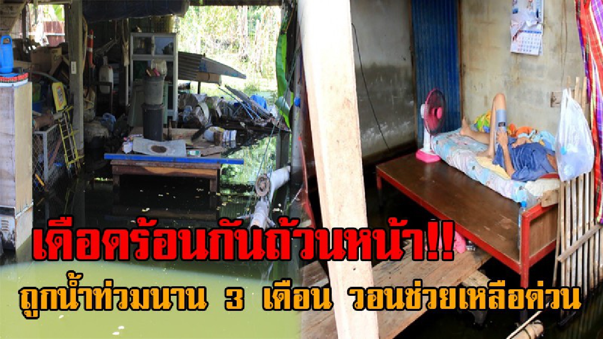 ช่วยพวกเราด้วย..!! สุดเวทนา ชาวตะเคียนเลื่อน วอนช่วยเหลือ หลังถูกน้ำท่วมขังนานกว่า 3 เดือน กลายเป็นแหล่งเพาะยุง เด็กคนพิการได้รับผลกระทบ