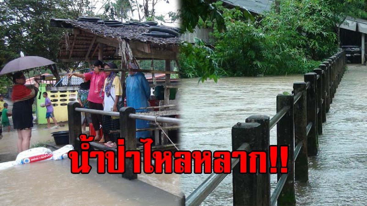 หนีแทบไม่ทัน..!! ชาวบ้านเร่งเก็บข้าวของ หลังน้ำป่าไหลหลากลงเข้าท่วมบ้านเรือน และพื้นที่การเกษตร
