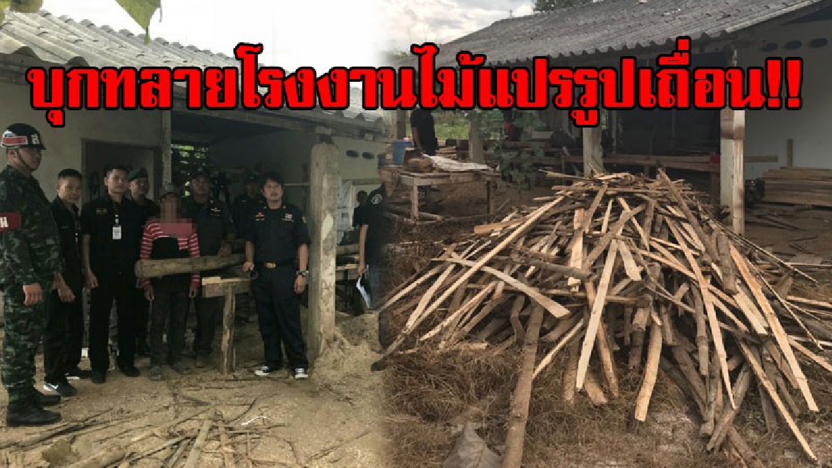 เย้ยกฎหมายไทย..!? ทหารสนธิกำลังตำรวจ ปทส.บุกทลายโรงงานไม้แปรรูปเถื่อน ไหวตัวทันหนีได้ 2 รวบได้ 1 เผยมีนายทุนอยู่เบื้องหลัง..!! (ชมคลิป)
