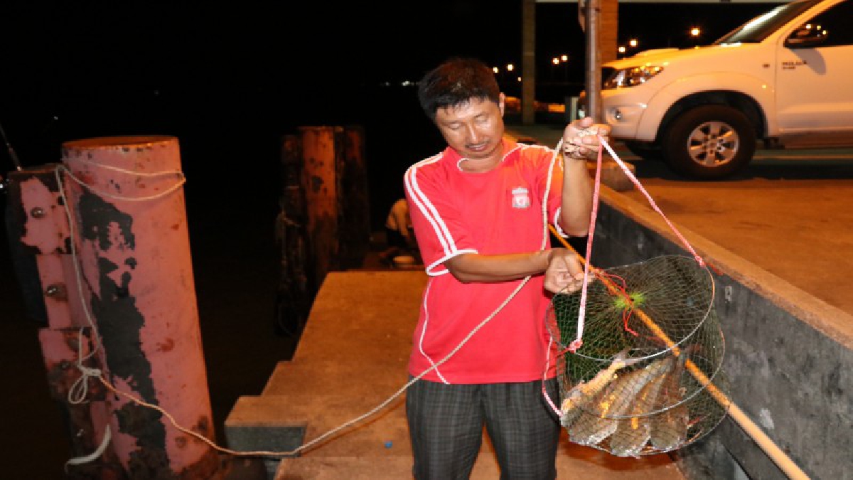 ไม่ต้องลงทุนอะไรมาก..! แบบนี้เคยกันเห็นไหม ไก่ย่างตกปลาได้ โดยไม่ต้องใช้เหยื่อจริง ตกได้ครั้งละ 4-5 ตัว!? (มีคลิป)