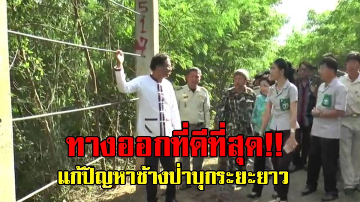 ปิดช่องทางเข้า-ออก!! ผวจ.แปดริ้ว ลงพื้นที่แก้ปัญหาช้างป่า ระยะยาวปิดช่องว่างระหว่างคูกั้นช้างด้วยรั้วไฟฟ้า..!? (ชมคลิป)