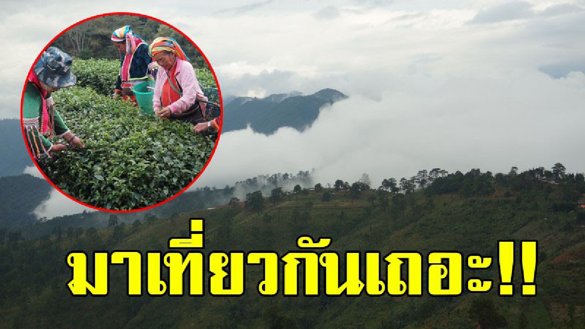 แอ่วเหนือกันเต๊อะ..!! บอกเลยไม่ไปถือว่าพลาดมาก "ดอยอ่างขาง" ทั้งหนาว ทั้งสวย รีบชวนเพื่อนๆมาเก็บความทรงจำดีๆบนดอยกันด่วน..!?