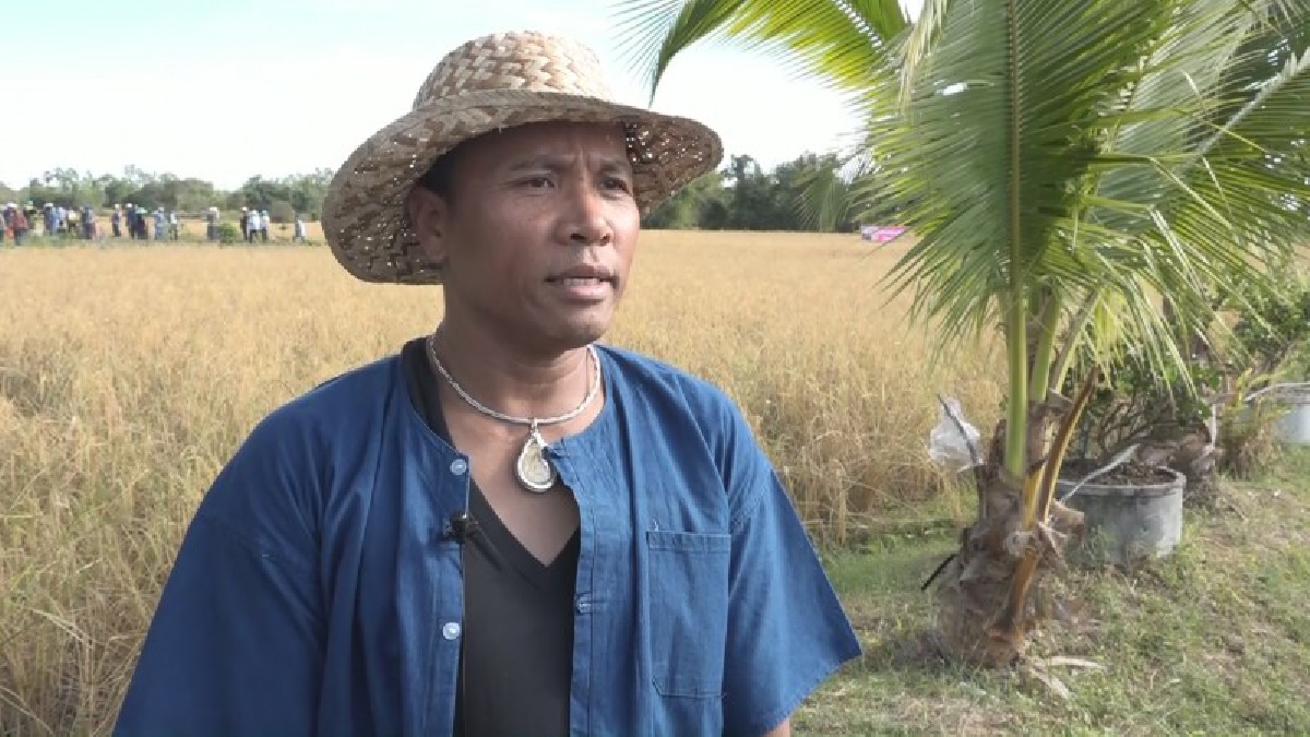 ม่วนคักหลาย!! แปลงนา "ไมค์ ภิรมย์พร" นักร้องลูกทุ่งชาวอุดรธานี ลงแขกเกี่ยวข้าวอินทรีย์วิถีพอเพียง