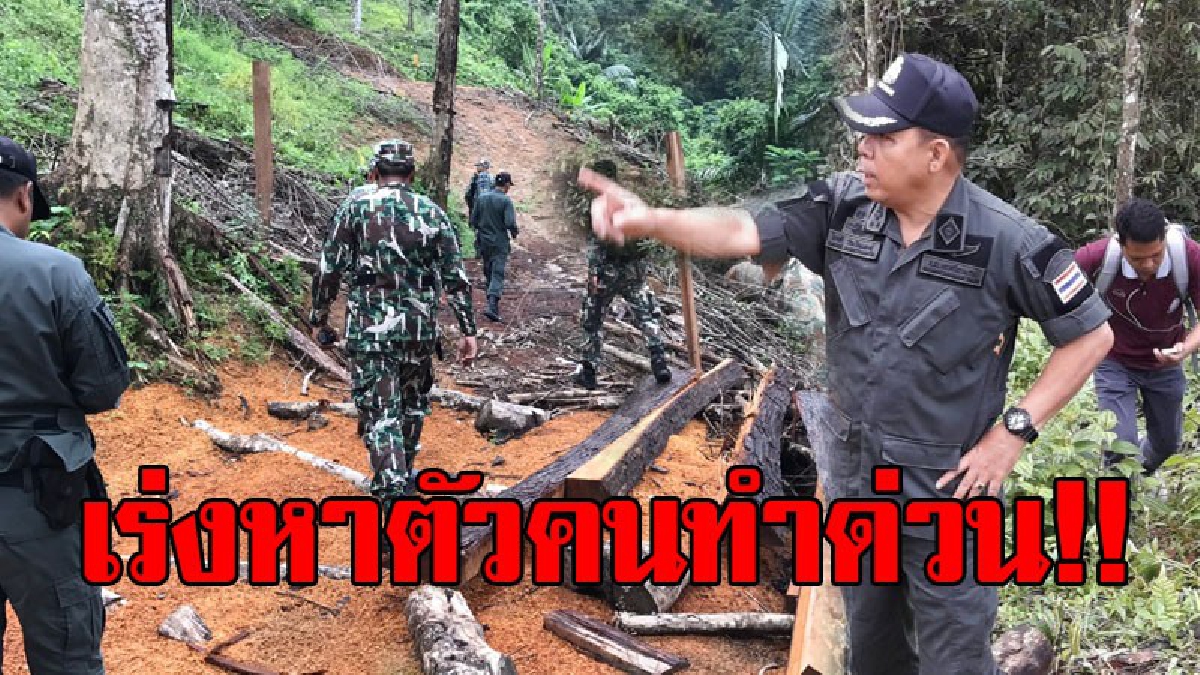พวกหนักแผ่นดิน..!? ตร.สิชล บุกป่าลึก ตรวจสอบไม้ซุงขนาดใหญ่ ถูกตัด-แปรรูป เร่งสอบสวนหาคนผิด