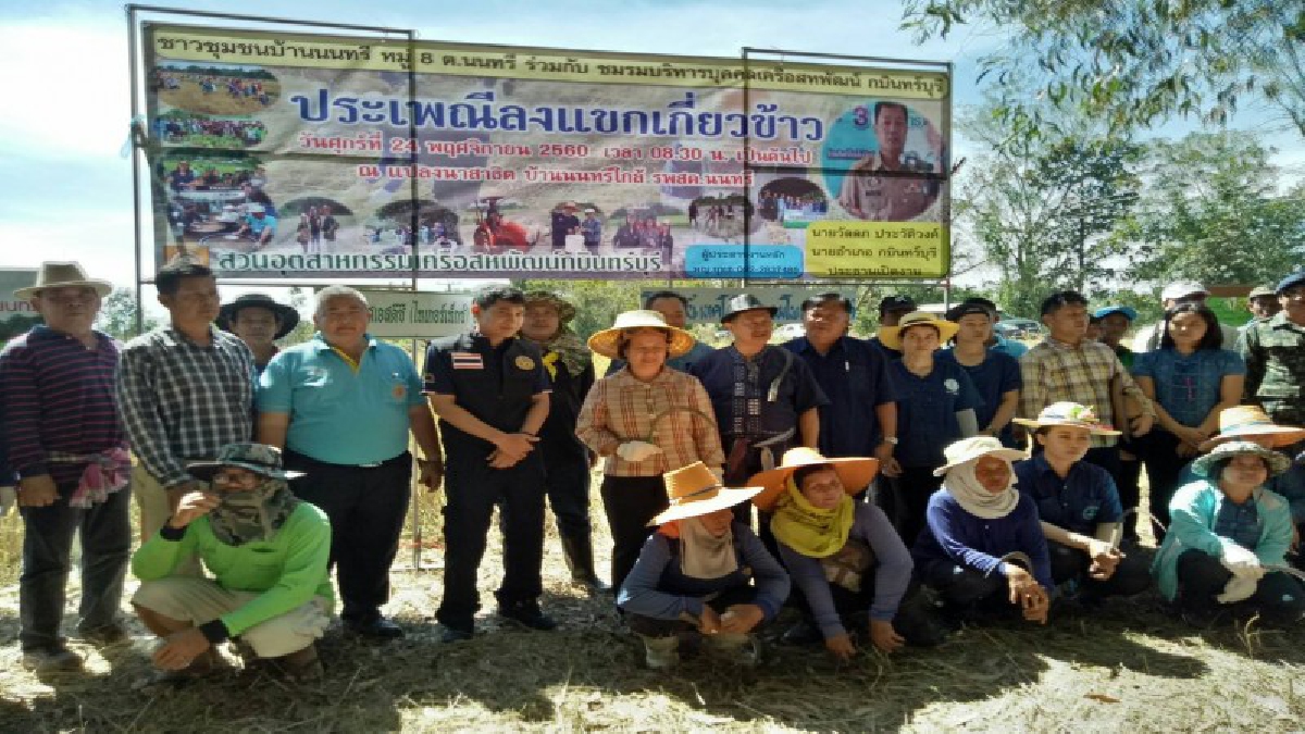 กลุ่มนาข้าวเกษตรอินทรีย์ สืบสานประเพณีลงแขกเกี่ยวข้าวในเนื้อที่ 5 ไร่ ที่ได้ปฏิบัติต่อเนื่องกันมาทุก ๆ ปี