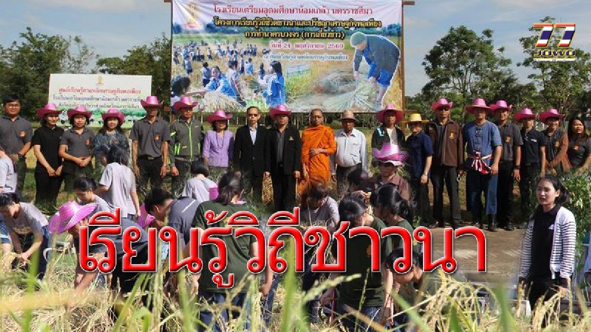 นร.เตรียมน้อมอุดมศึกษาน้อมเกล้าโคราช..!! ลงแขกเกี่ยวข้าวแปลงนาสาธิตปลูกจิตสำนึกนักเรียนได้รู้ซึ้งถึงวิถีชีวิตชาวนา!!