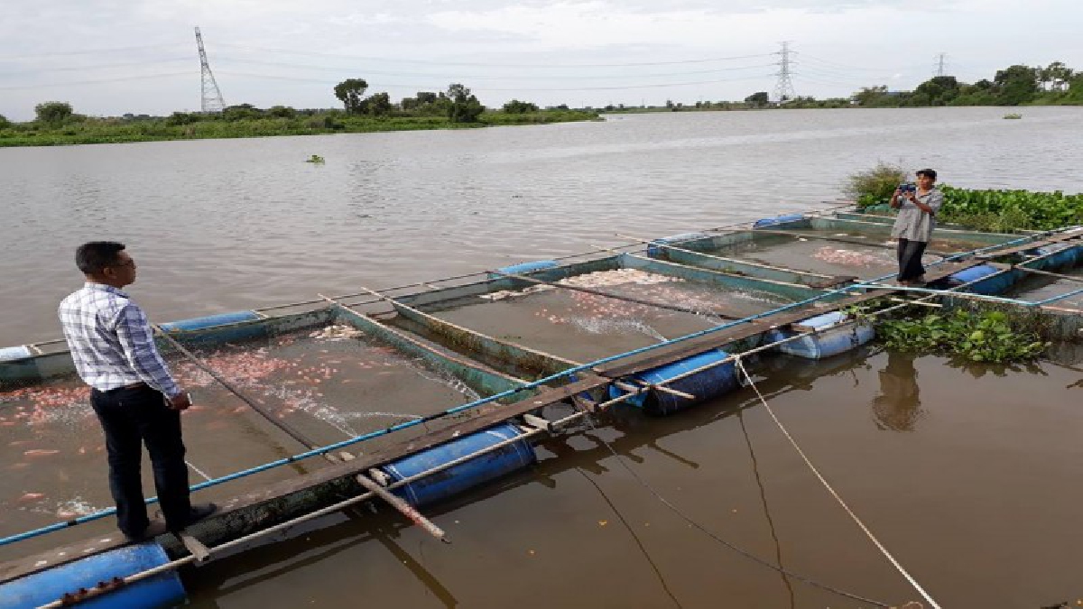 ผวจ.ปราจีนฯกำหนดประชุมแก้ไขปัญหาน้ำเสียในคลองสารภีที่ปล่อยลงแม่น้ำปราจีนบุรี จนปลา,กุ้งธรรมชาติและปลาเลี้ยงกระชังลอยหัว-ตายจำนวนมากตลอดพื้นที่น้ำไหลผ่านทั้งปราจีนบุรีและฉะเชิงเทรา
