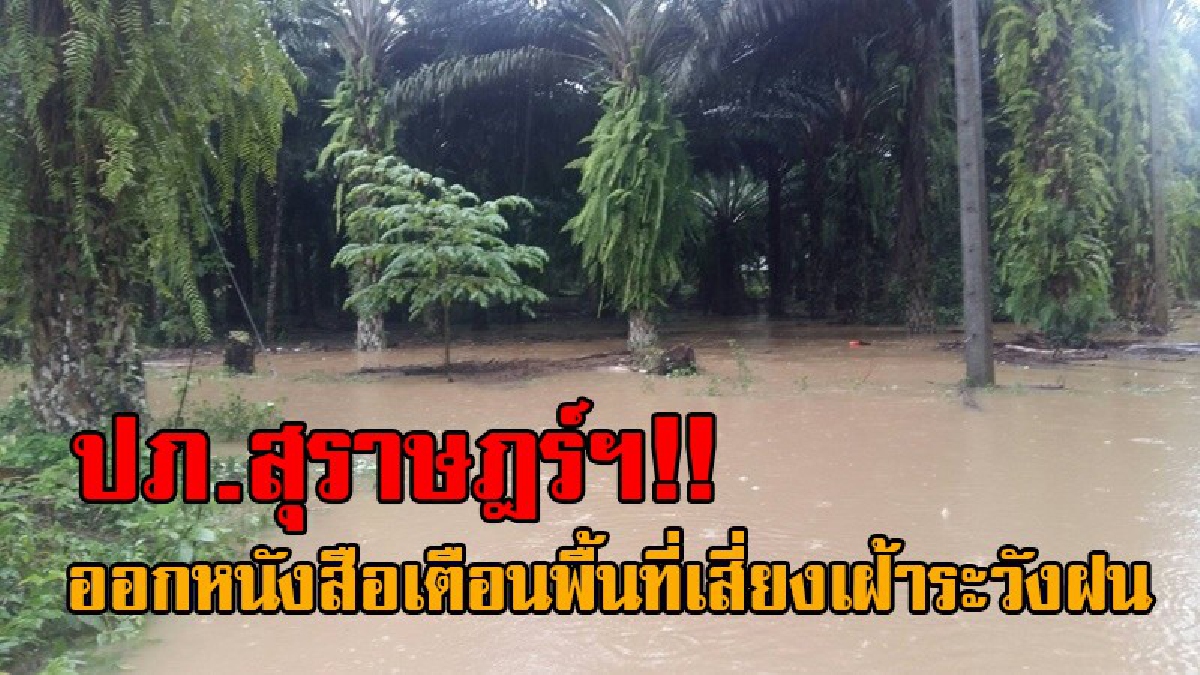 ปภ.สุราษฎร์ฯ ออกหนังสือเตือนพื้นที่เสี่ยงเฝ้าระวังฝนตกหนัก ดินโคลนถล่ม หลังกรมอุตุฯประกาศเตือน 25-28 นี้ เรือเล็กควรงดออกจากฝั่ง (มีคลิป)
