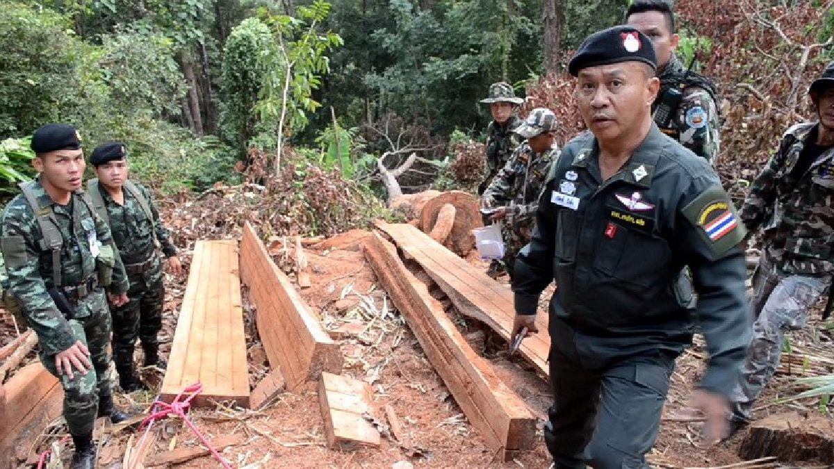 ตชด. ทหารพะเยา ตรวจยึดไม้หวงห้าม กลางป่าเขตรักษาพันธุ์สัตว์ป่าฯ ดอยผาช้าง พบแอบลอบตัดนำไปสร้างบ้าน (มีคลิป)