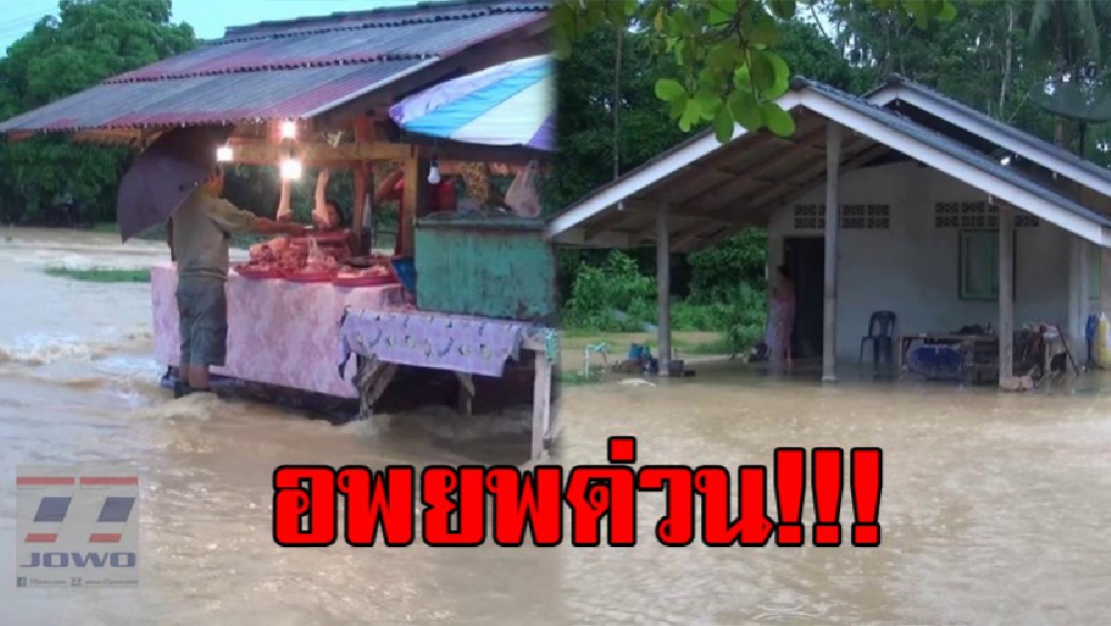 ตรังท่วมแล้ว..!! น้ำป่าไหลหลากเข้าท่วมหลายจุด ใน 4 อำเภอ หลังฝนตกติดต่อกันนาน 2 วัน ด้านผู้ว่าฯตรัง เร่งแจ้งอพยพด่วน