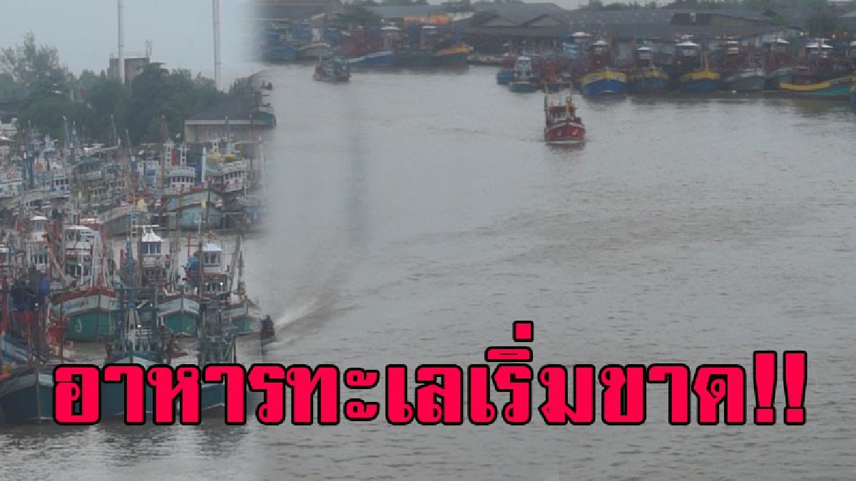 ส่อวิกฤต..!! มรสุมเข้าฝั่งอ่าวไทย เรือประมงหลายร้อยลำเข้าจอดเทียบท่า อาหารทะเลในตลาดเริ่มขาด..!? (ชมคลิป)