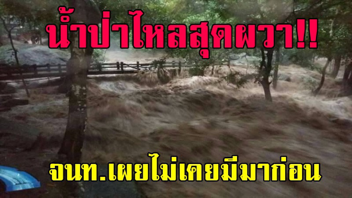 เผยคลิปชัดๆ..!? ฝนตกหนัก 3 วัน ป่ารับน้ำไม่ไหว จนเกิดน้ำป่าไหลหลาก ถล่มอุทยานสุดหวาดเสียว จนท.เผยไม่เคยมีมาก่อน..!!