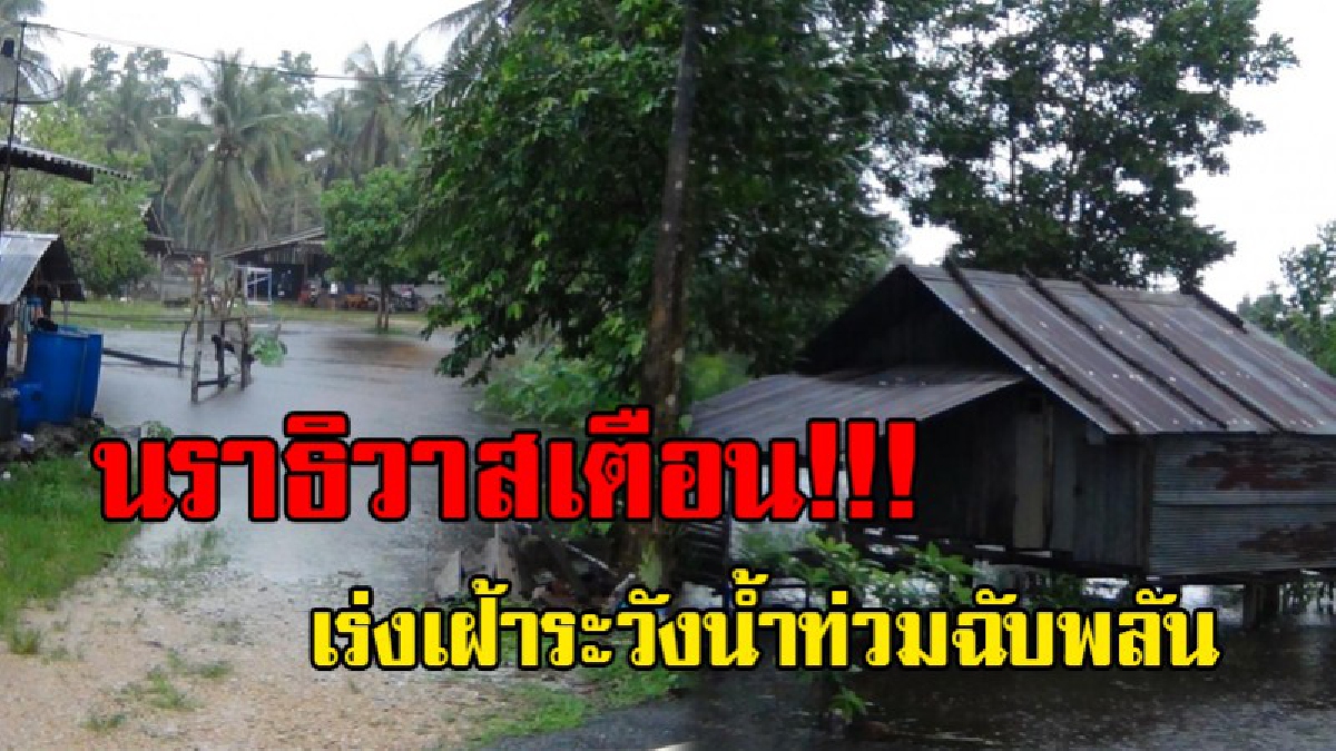 เตือนภัยพื้นที่แนวแม่น้ำ!!! โครงการชลประทาน จ.นราธิวาส เตือน ปชช. เฝ้าระวังน้ำท่วมฉับพลัน เนื่องจากในพื้นที่มีฝนตกหนักอย่างต่อเนื่อง