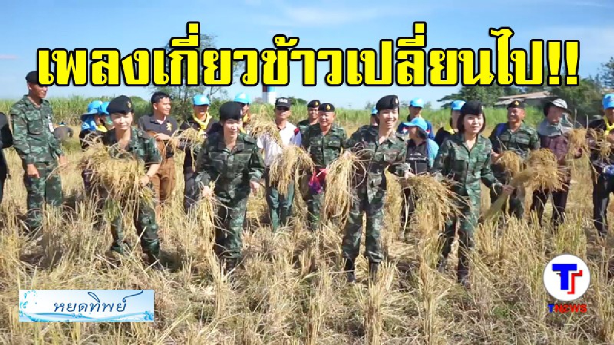 เพลงเกี่ยวข้าวเปลี่ยนไป..!! ทหารออกเกี่ยวข้าวช่วยชาวบ้าน เนื่องจากค่าแรงแพง แถมด้วยโชว์เต้นตะตุงตวง สร้างบรรยากาศให้ดูเพลินๆ (มีคลิป)