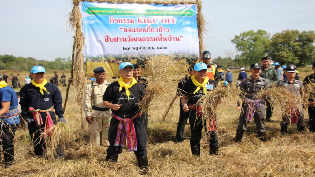 ผู้ว่าฯเมืองช้าง ผุด!! กิจกรรมฟื้นประเพณี "ลงแขกเกี่ยวข้าว" จับมือทหาร นำทุกภาคส่วน อาสาลงแขกเกี่ยวข้าว ลดต้นทุนช่วยชาวนายากไร้