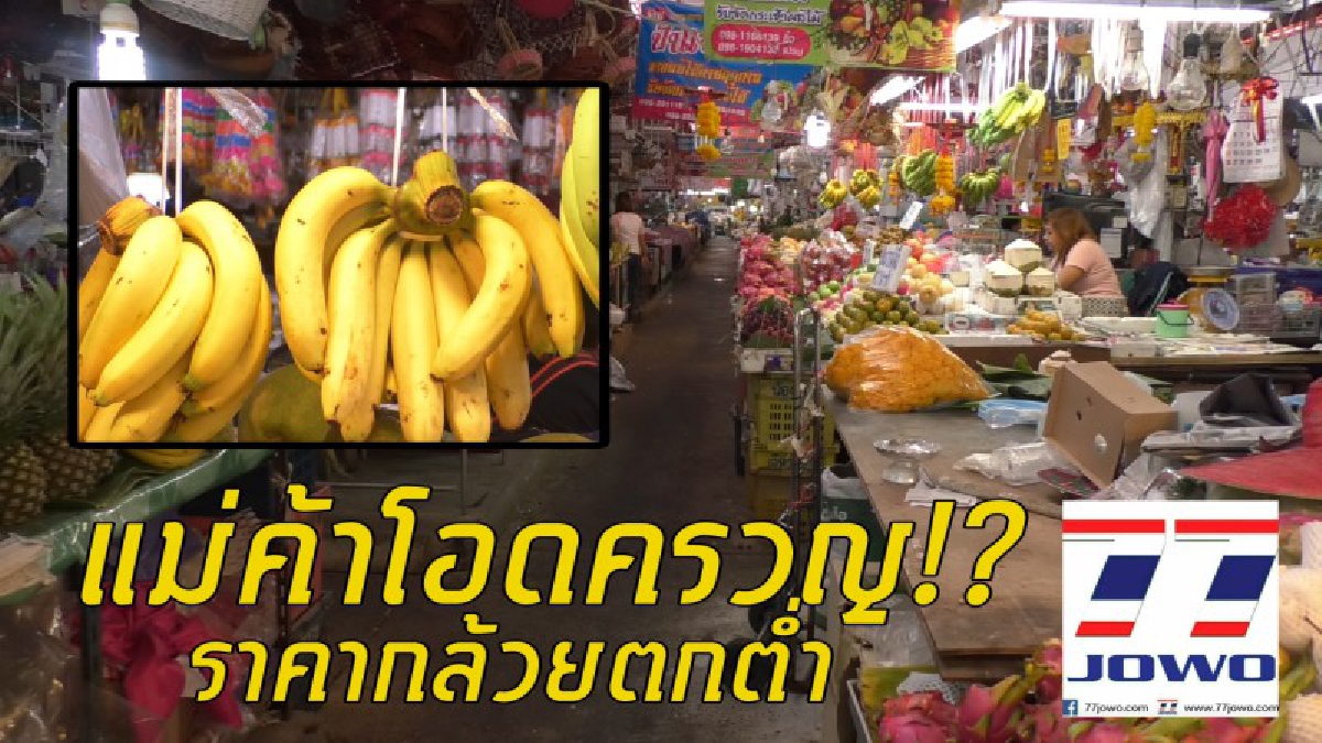 จะอยู่กันไม่ได้แล้ว..!! แม่ค้ากล้วยหอม-กล้วยน้ำว้า โอดครวญหนัก หลังราคาตกต่ำ แถมถูกพ่อค้าคนกลางกดดัน วอนภาครัฐเข้าช่วยเหลืออย่างเร่งด่วน
