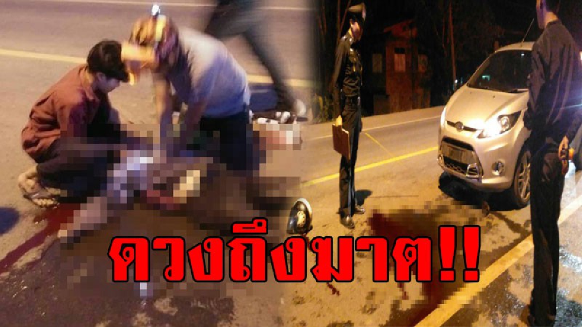 #เลี้ยงวัว-ควายริมทาง เฝ้าให้ดี..!! นศ.ปวช.1 ดวงถึงฆาต ขับ จยย.อยู่ดีๆ มีวัว 2 ตัวตัดหน้า ตกใจหักหลบ รถล้ม เก๋งไม่เห็นเยียบซ้ำ ตายคาที่..!!