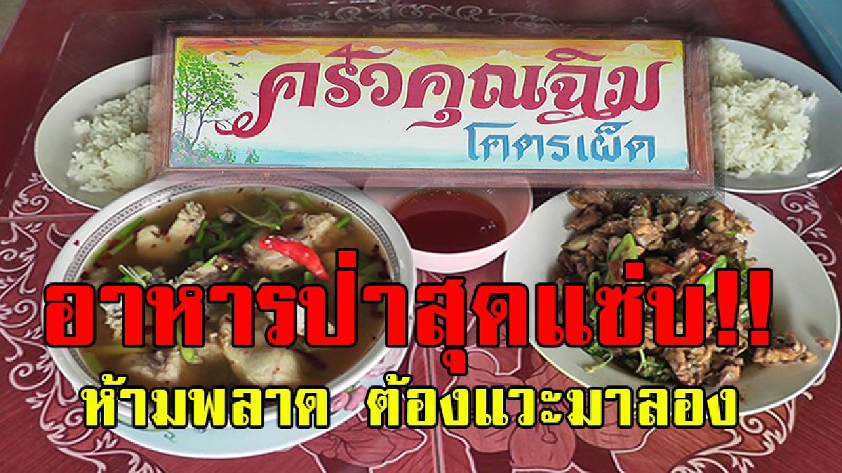 ยั่วน้ำลายสุดๆ..!! ความอร่อย รสแซ่บ แบบเผ็ดหูฉี่กับร้าน "ครัวคุณฉิมโคตรเผ็ด" สุดยอดอาหารป่า รสชาติแบบบ้านๆที่คุณจะติดใจ..!?
