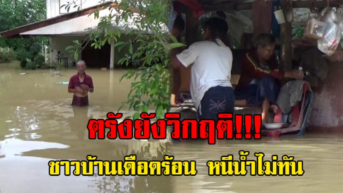 ตรังยังวิกฤติ.!! ปชช.กว่า 12,000 คนเดือดร้อนหนัก น้ำท่วมวัดและโรงเรียน จนต้องปิดการเรียนการสอนต่ออีก 1 วัน