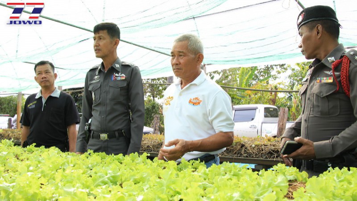 อำเภอประจันตคาม จัดอบรมหมอดินอาสาประจำหมู่บ้าน ลดการใช้สารเคมีในการเกษตร (มีคลิป)