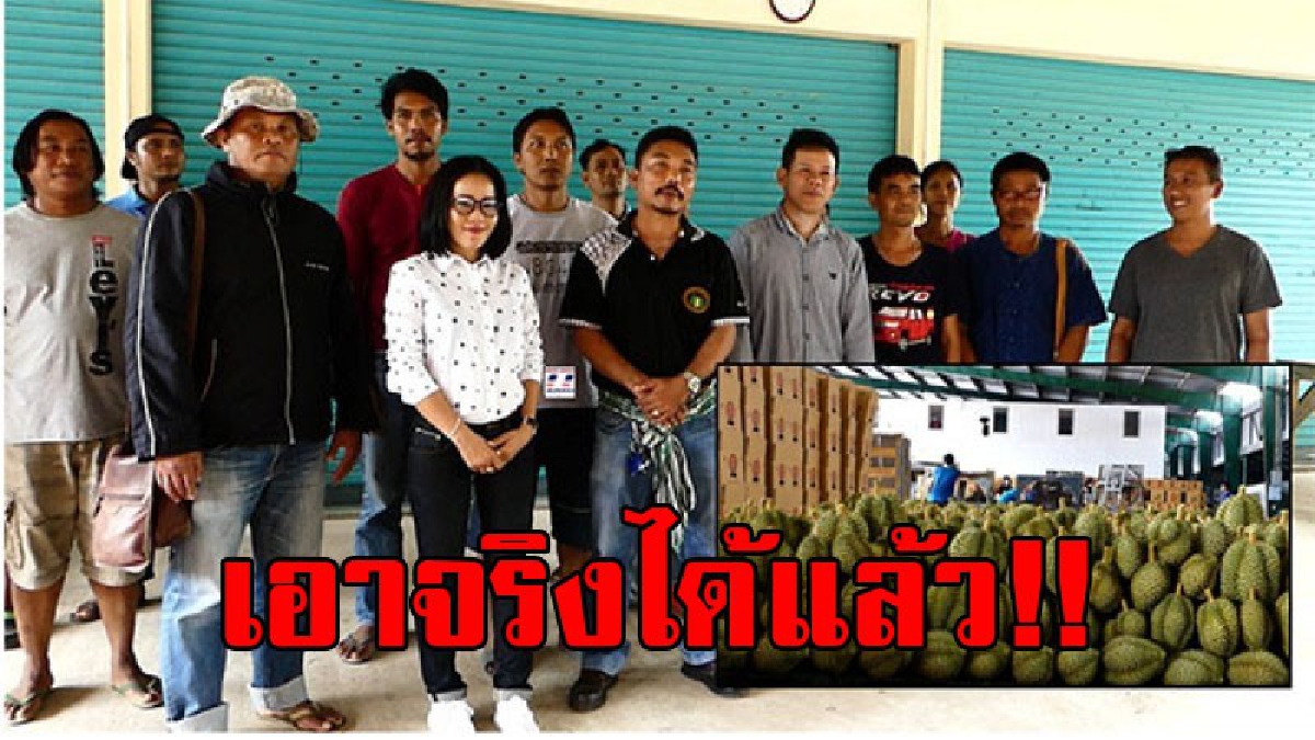 ชาวสวนทุเรียนจี้รัฐเอาจริงทุเรียนอ่อนส่งออก ขู่หากรัฐไม่ชัดเจน อาจนำทุเรียนไปปิดถนนด้าน "ล้ง" จี้รัฐจริงจังเพื่อครองตลาดโลกไว้..!!