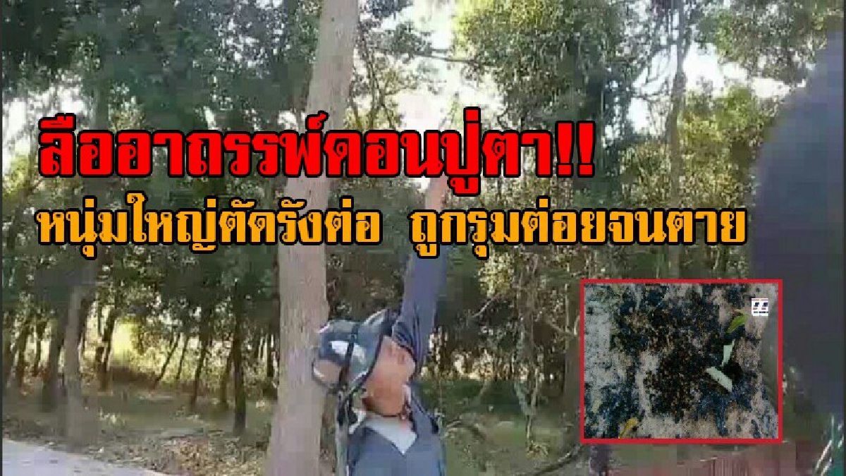อุทาหรณ์สยอง..! หนุ่มใหญ่อยากกินลูกต่อหัวเสือ จึงเดินเข้าไปตัดในดอนปู่ตา พลาดท่าถูกต่อนับร้อย รุมต่อยจนตาย ลืออาถรรพ์ เอาไปไม่บอกเจ้าที่!?