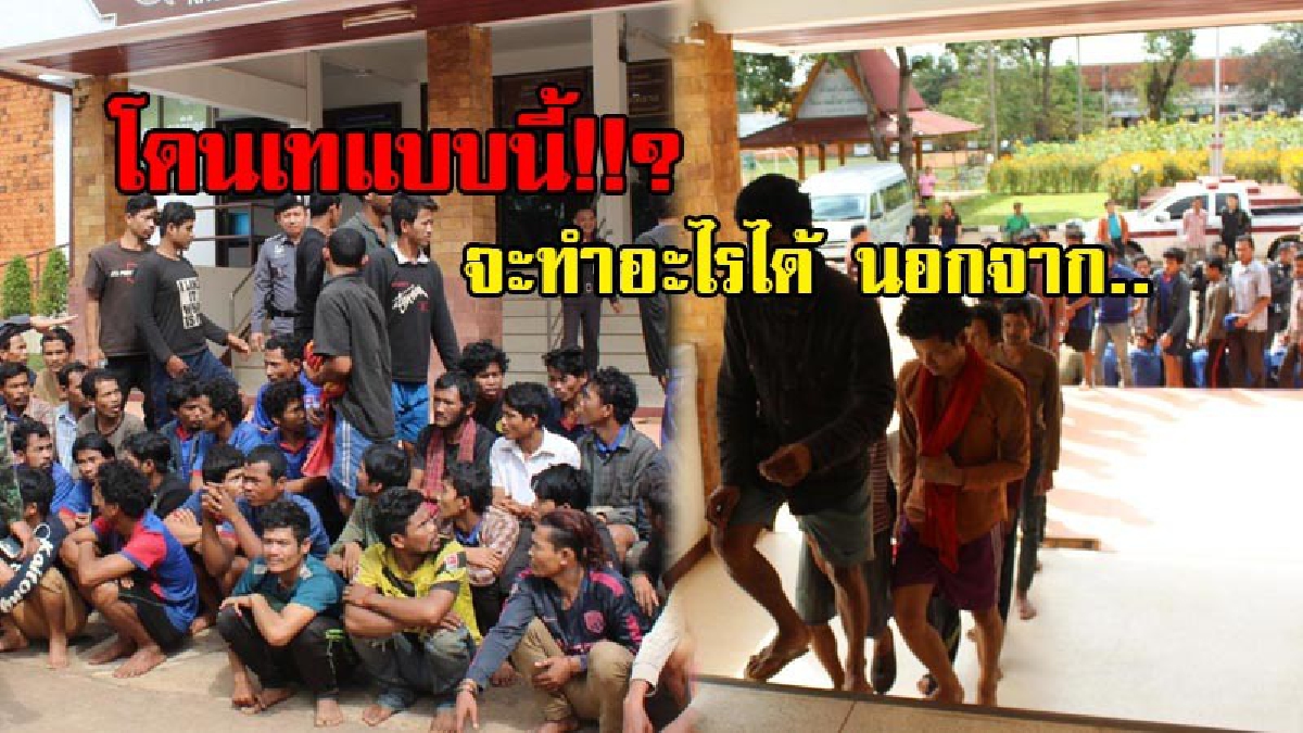 ทัพเขมรนับร้อยเปิดปาก !!! ถูกนายทุนพะยูงชาวไทยลอยแพในป่า จึงต้องออกมาให้เจ้าหน้าที่จับ ล่าสุดควบคุมตัวได้แล้ว 89 ราย