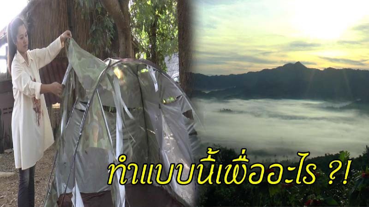 ทำแบบนี้เพื่ออะไร ?! เจ้าของรีสอร์ทดังออกโรงเอง แจ้งความเอาผิดนักท่องเที่ยว กรีดเต้นท์เสียหายยับ เผย..เจอทุกปี (มีคลิป)