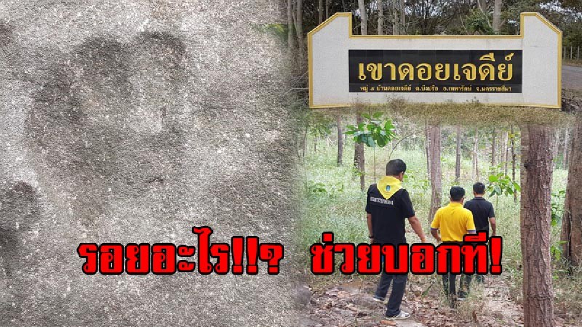 ตะลึง..!!! พบรอยเท้ายุคไดโนเสา อายุราว 200 ล้านปี ปรากฏบนผาสูง จนท.เร่งแจ้งพิสูนจ์ด่วน! (มีคลิป)