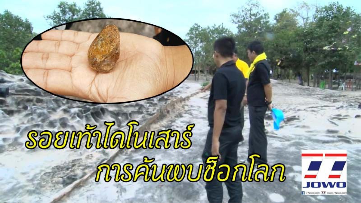 ฮือฮา !! พบร้อยเท้าไดโนเสาร์ คาดอายุกว่า 200 ล้านปี บนชั้นหิน ในเขาดอนเจดีย์ (มีคลิป)