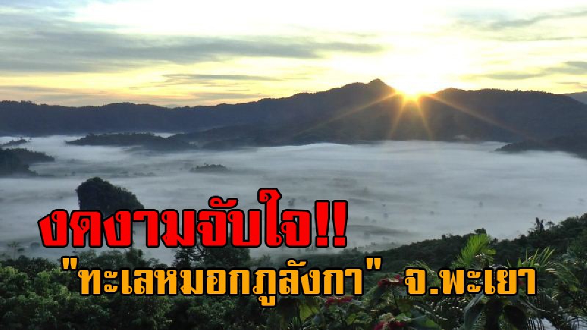 สวยงามดุจแดนสวรรค์..!! ใครไม่ไปถือว่าพลาด คนแห่ชม "ทะเลหมอกภูลังกา" กับบรรยากาศเย็นฉ่ำ เป็นสถานที่สวยงาม 1 ใน 10 ของประเทศ (คลิป)