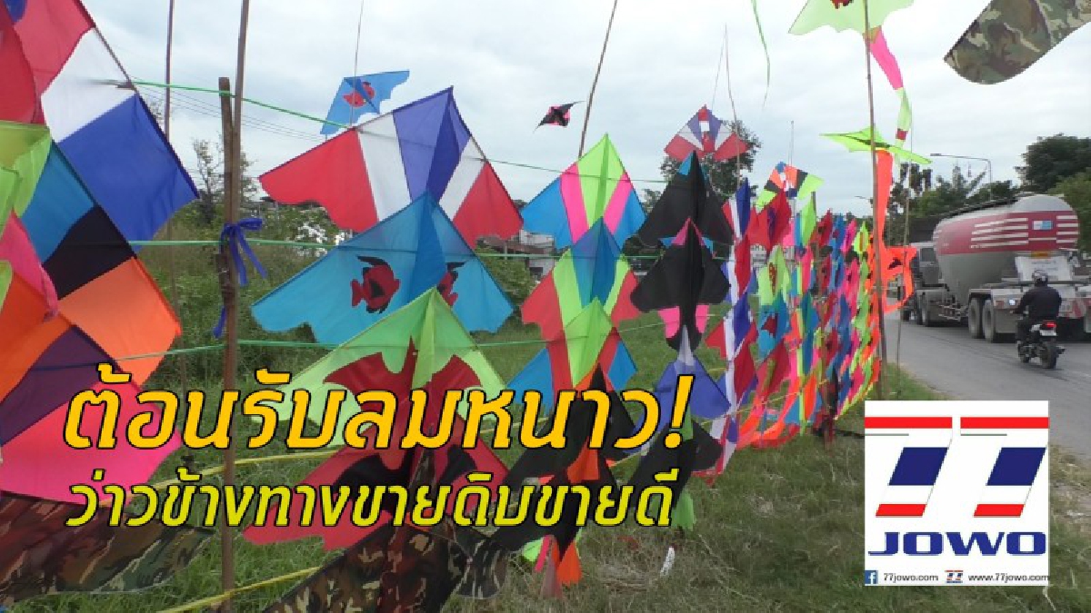 โคตรทึ่ง..!! อาชีพขาย “ว่าว” ริมทาง สุดปัง รับลมหนาวรายได้ดี ตระเวนขายทั้งภาคอีสาน เหนือ กลาง ร่วม 6 เดือน ทำยอดเงินกว่า 2 แสน!? (ชมคลิป)