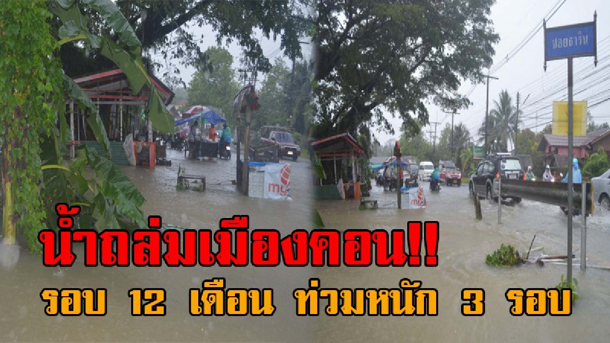 คนเมืองคอนตายอย่างเขียด..!! มวลน้ำจากเทือกเขาหลวง ทะลักท่วมถึงตัวเมืองคอนแล้ว เผยรอบ 12 เดือน ท่วมหนัก 3 รอบ จะอยู่เป็นสุขได้อย่างไร!?