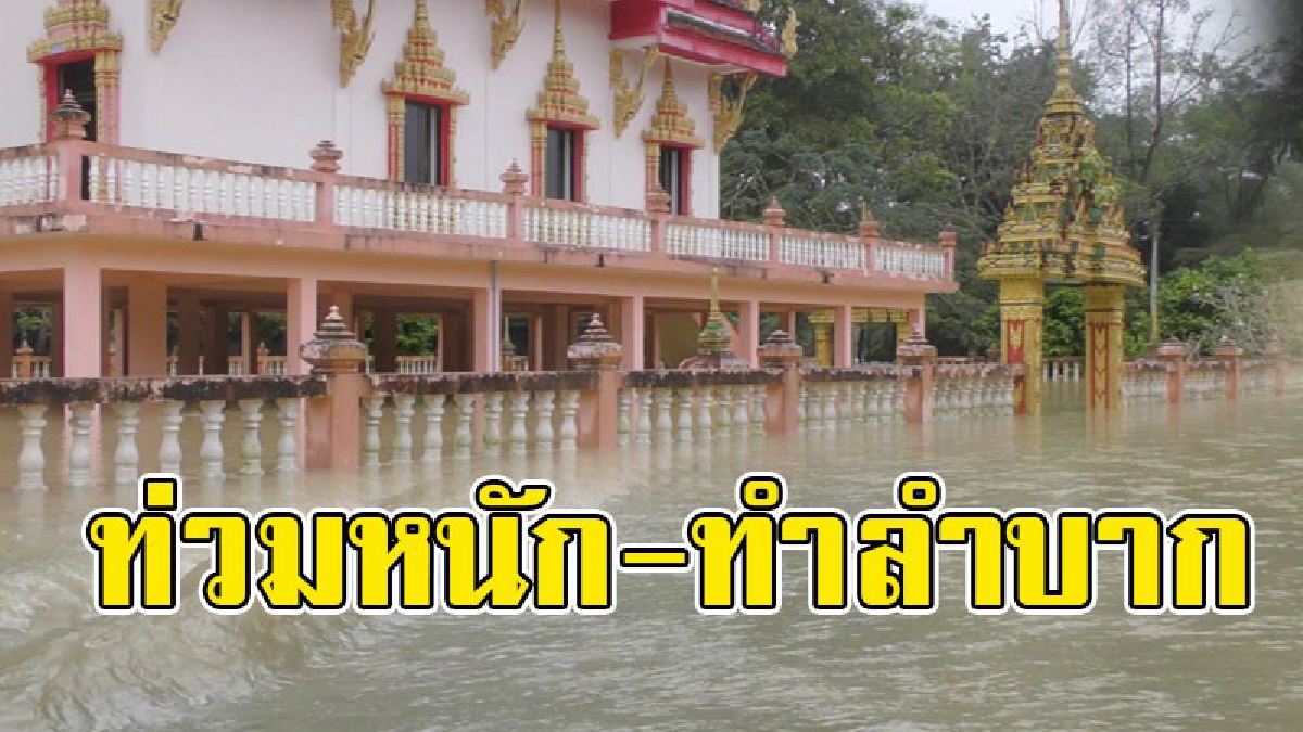 สถานการณ์เริ่มไม่ดี..!? อ.ห้วยยอด อ่วมหนัก น้ำท่วมวัดพระติดเกาะ แถมสถานการณ์ทวีความรุนแรงเพิ่มขึ้น เนื่องจากฝนตกหนักติดต่อกัน..!!