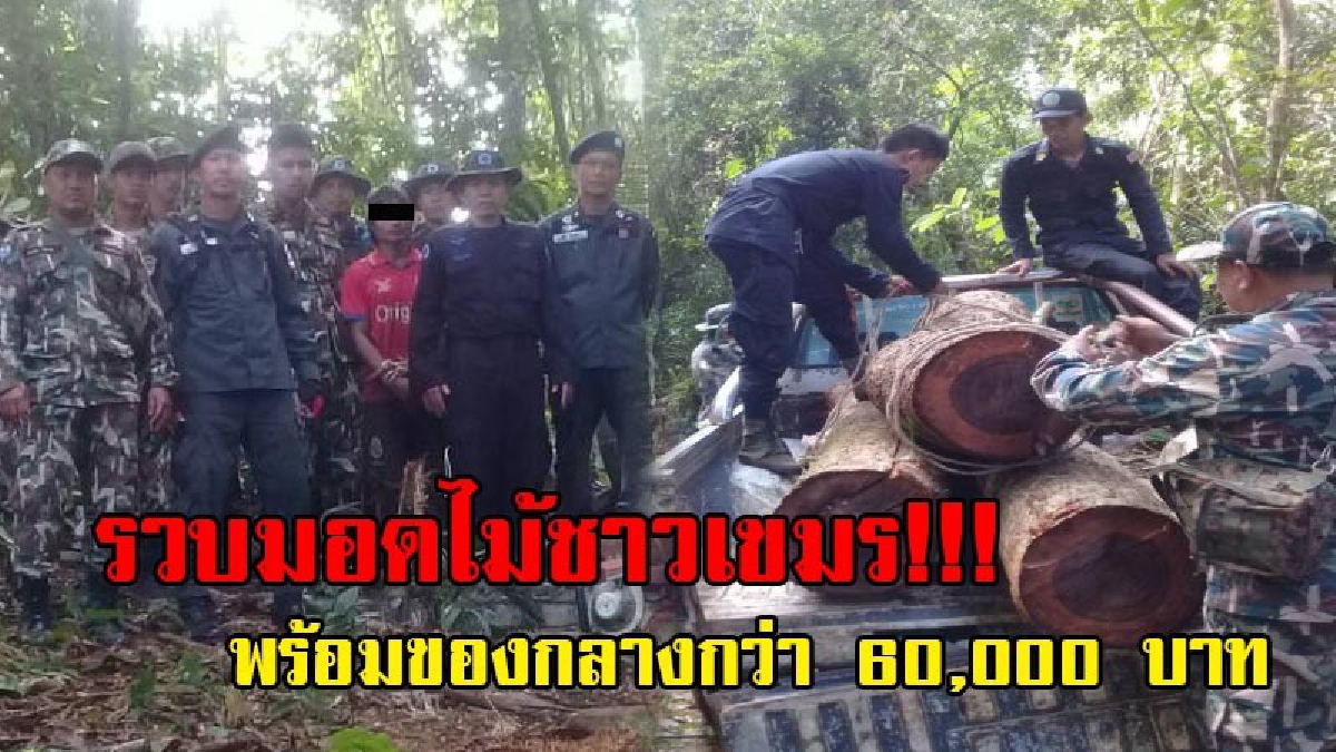 คาหนังคาเขา..!! จนท.เข้าจับกุมชาวเขมรลักลอบตัดไม้หวงห้ามในพื้นที่อุทยานฯ ได้ของกลางเป็นไม้ชิงชัน มูลค่ากว่า 6 หมื่นบาทและผู้ต้องหา 1 คน